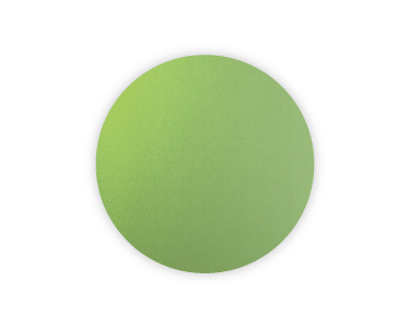 Ткань полупрозрачная для шторы дневного света Roto ZRE — зеленое яблоко 2-R25